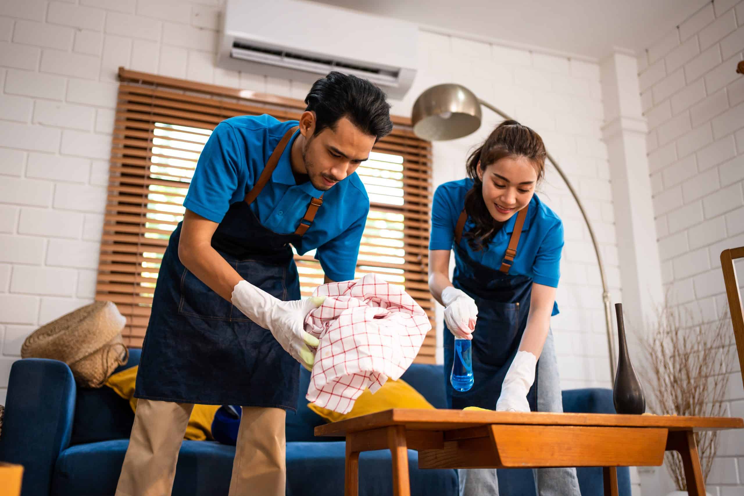 Professional Cleaning Team